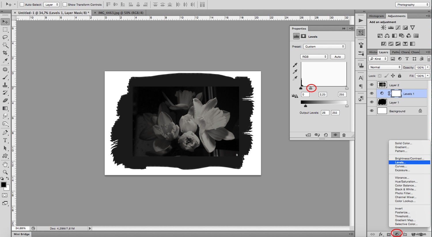 Create Stunning Digital Cyanotypes in Photoshop: Easy Step-by-Step Guide