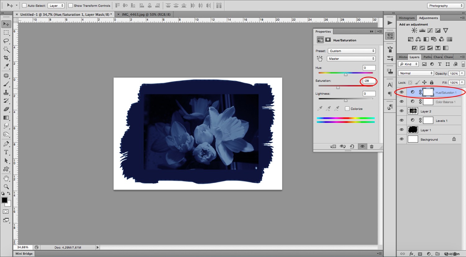 Create Stunning Digital Cyanotypes in Photoshop: Easy Step-by-Step Guide