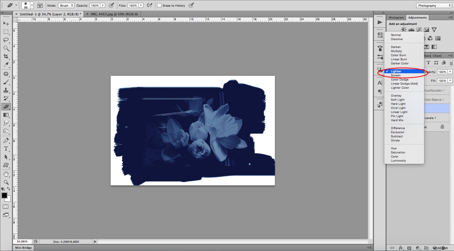 Create Stunning Digital Cyanotypes in Photoshop: Easy Step-by-Step Guide