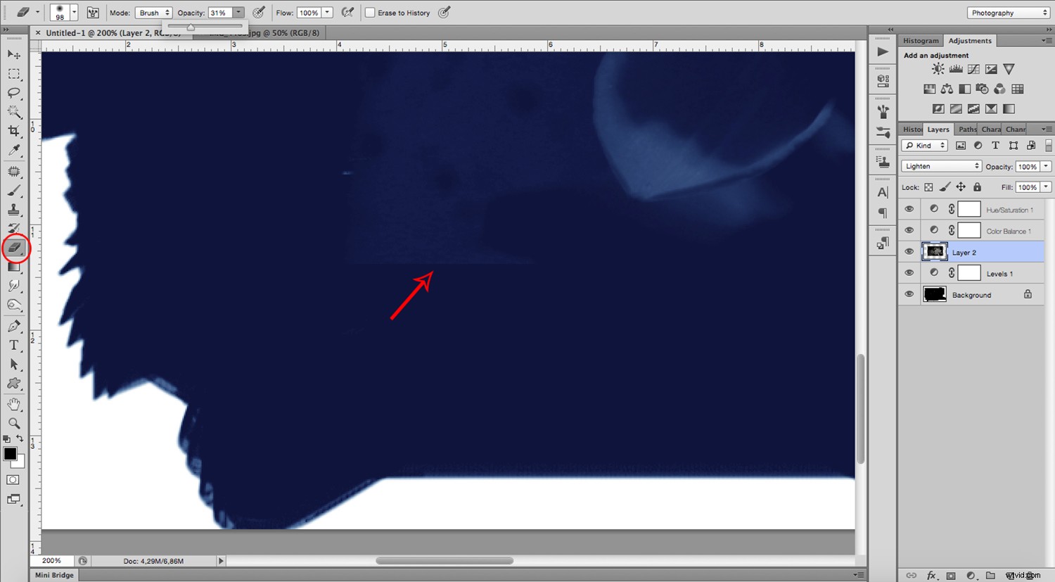 Create Stunning Digital Cyanotypes in Photoshop: Easy Step-by-Step Guide