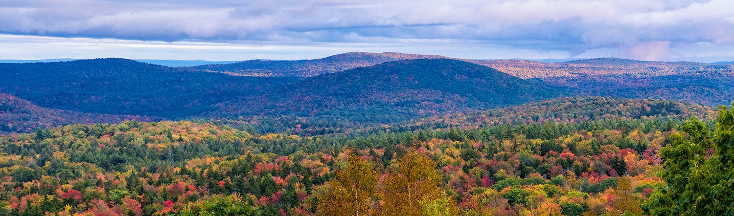 Master Photoshop Filters: Correct and Enhance Images in Post-Processing