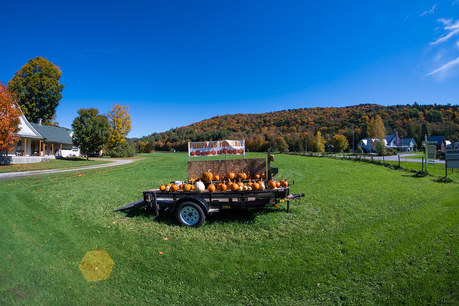 Master Photoshop Filters: Correct and Enhance Images in Post-Processing