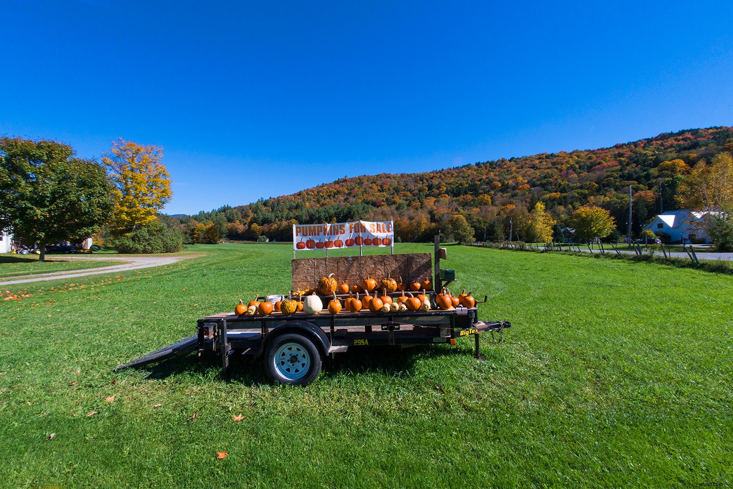 Master Photoshop Filters: Correct and Enhance Images in Post-Processing