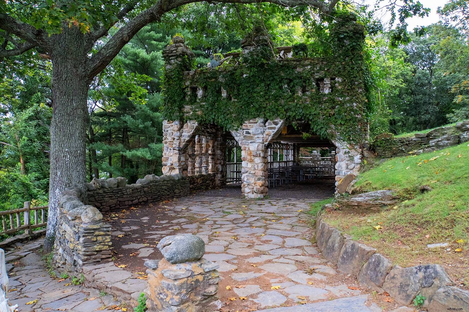 Master Photoshop Filters: Correct and Enhance Images in Post-Processing