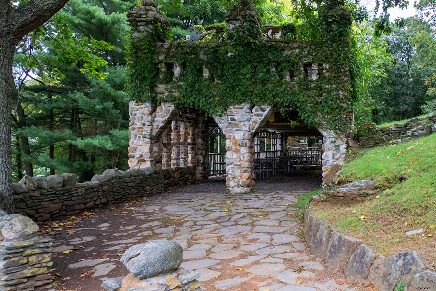 Master Photoshop Filters: Correct and Enhance Images in Post-Processing