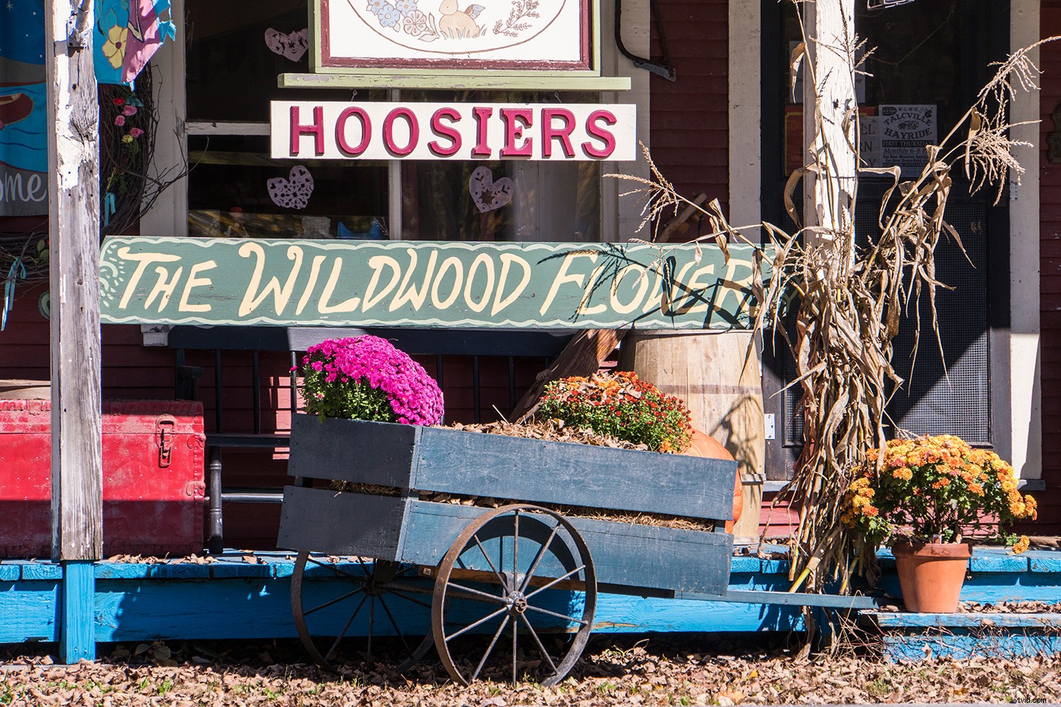 Master Photoshop Filters: Correct and Enhance Images in Post-Processing