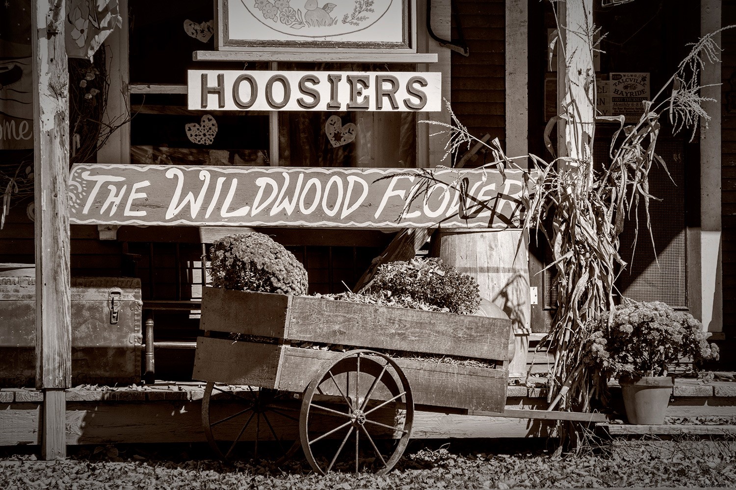 Master Photoshop Filters: Correct and Enhance Images in Post-Processing