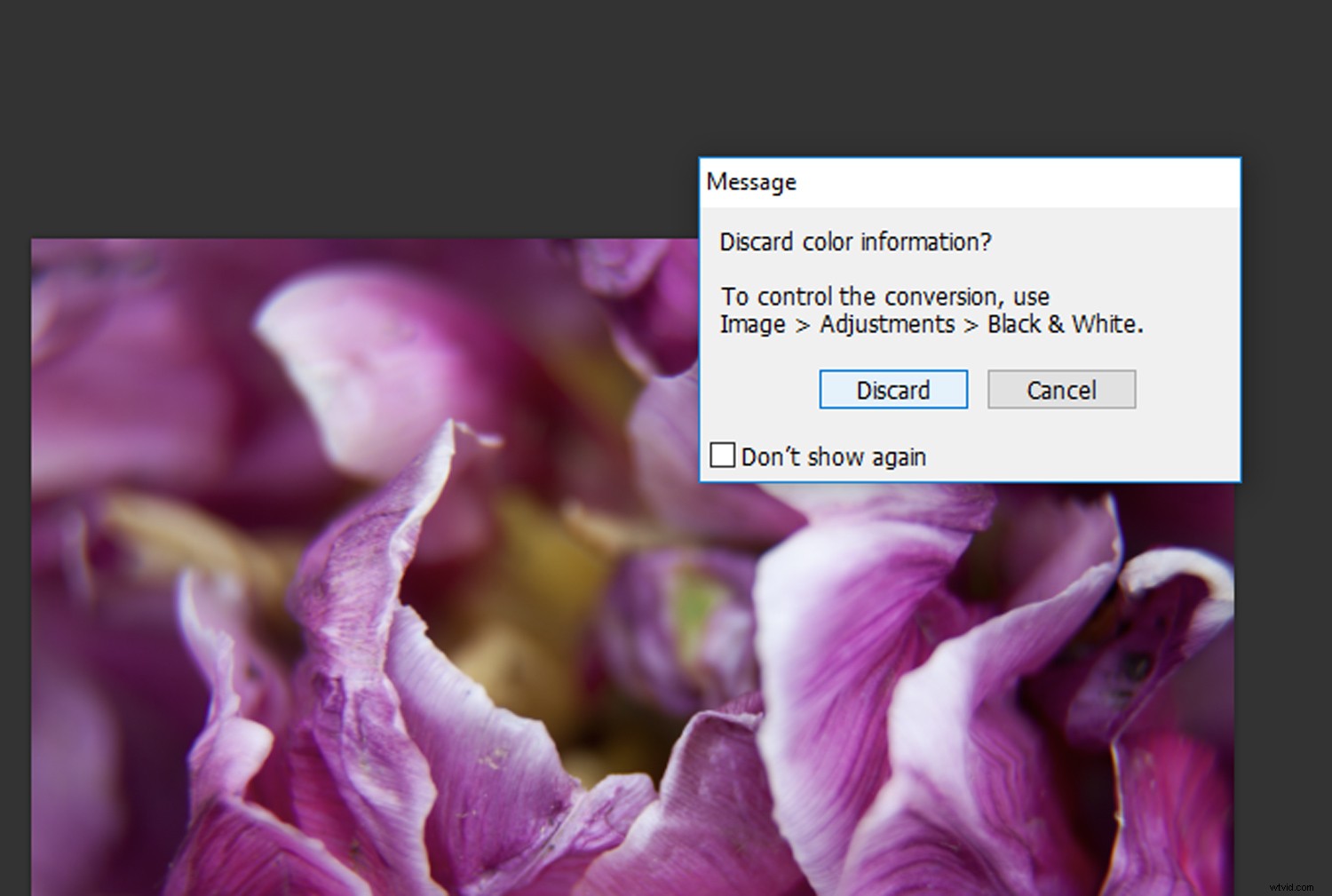 Create Stunning Duotone Effects in Photoshop: Step-by-Step Photo Tutorial