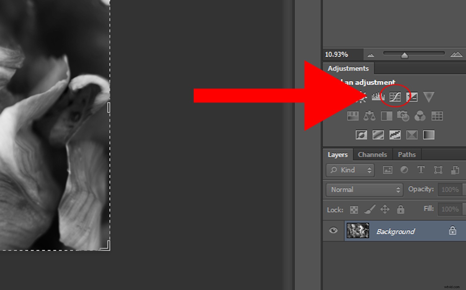 Create Stunning Duotone Effects in Photoshop: Step-by-Step Photo Tutorial