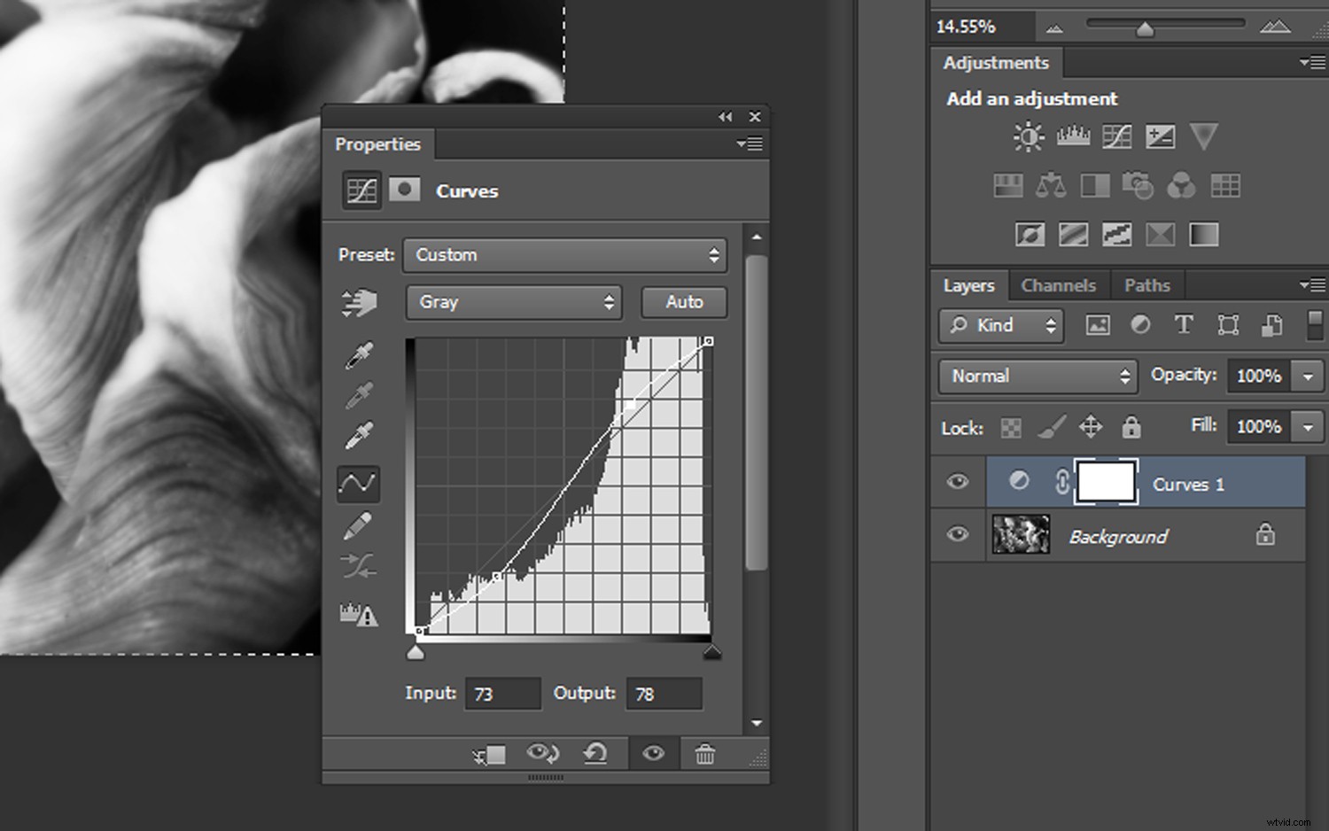 Create Stunning Duotone Effects in Photoshop: Step-by-Step Photo Tutorial