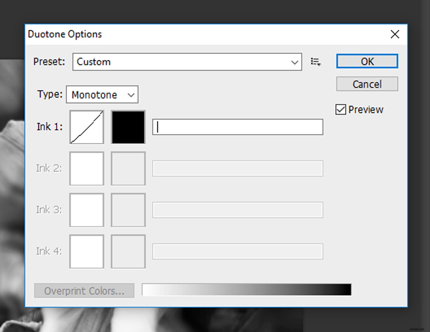 Create Stunning Duotone Effects in Photoshop: Step-by-Step Photo Tutorial