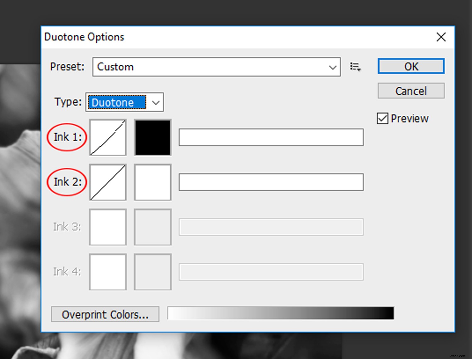 Create Stunning Duotone Effects in Photoshop: Step-by-Step Photo Tutorial