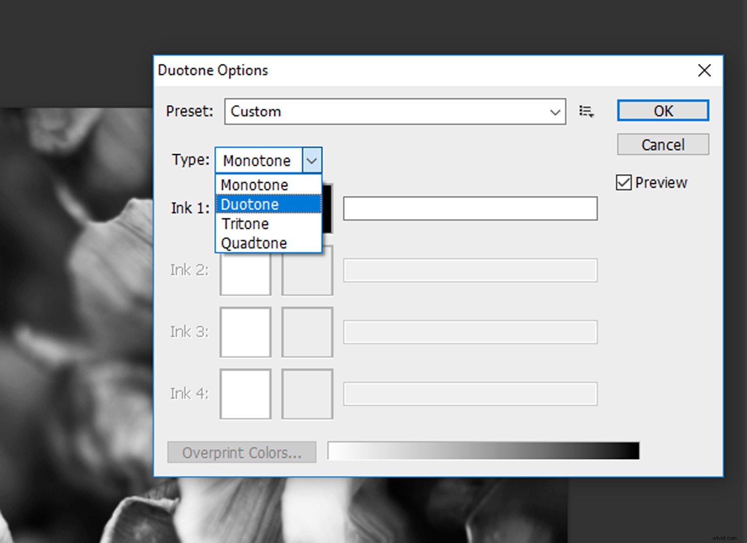 Create Stunning Duotone Effects in Photoshop: Step-by-Step Photo Tutorial