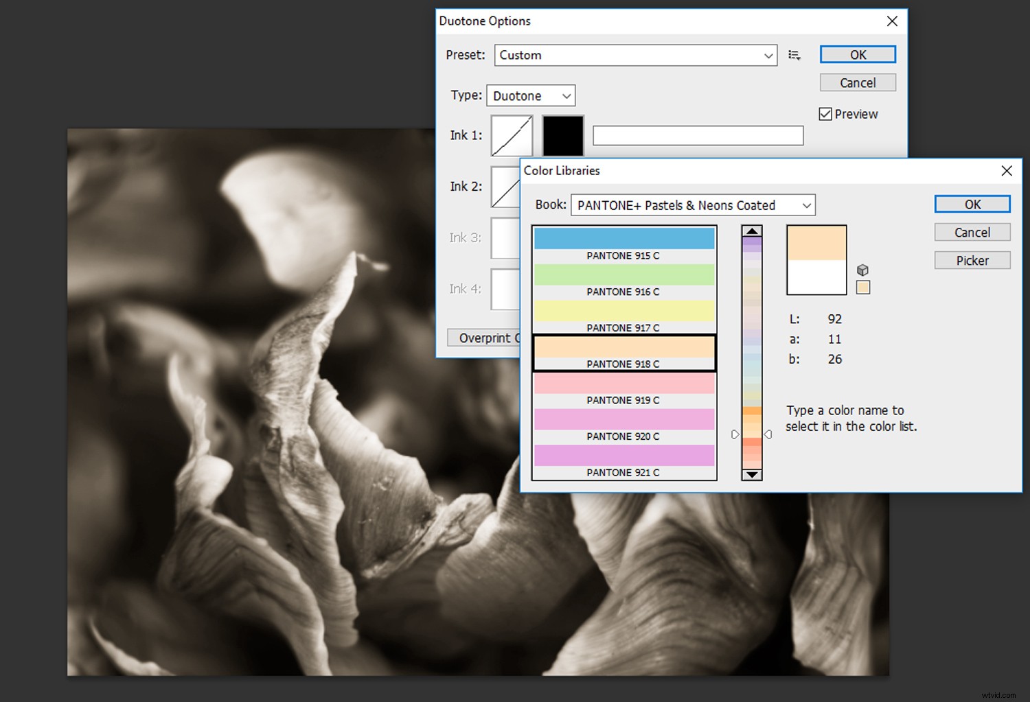 Create Stunning Duotone Effects in Photoshop: Step-by-Step Photo Tutorial