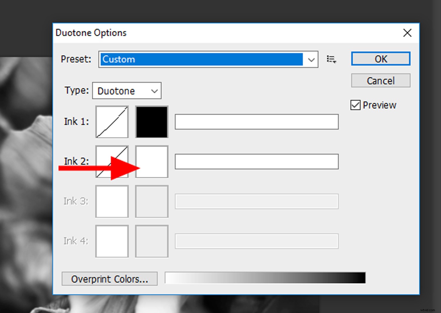 Create Stunning Duotone Effects in Photoshop: Step-by-Step Photo Tutorial