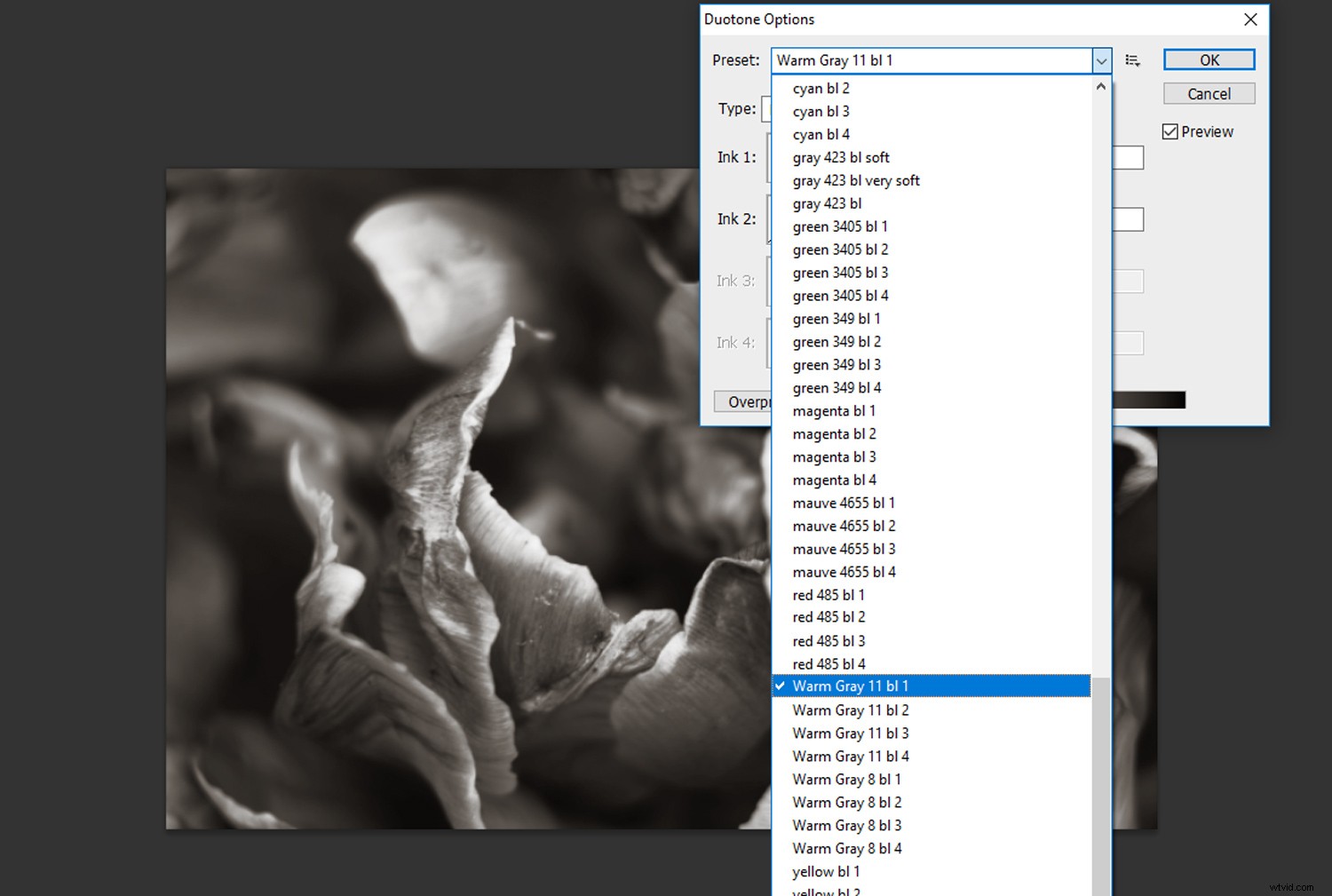 Create Stunning Duotone Effects in Photoshop: Step-by-Step Photo Tutorial