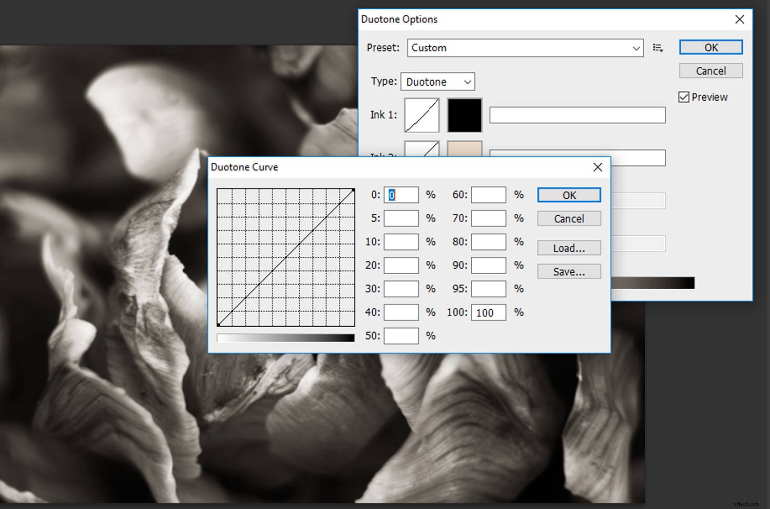 Create Stunning Duotone Effects in Photoshop: Step-by-Step Photo Tutorial