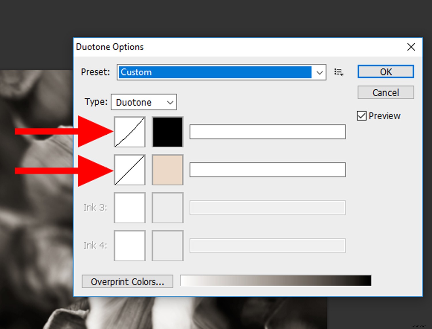 Create Stunning Duotone Effects in Photoshop: Step-by-Step Photo Tutorial