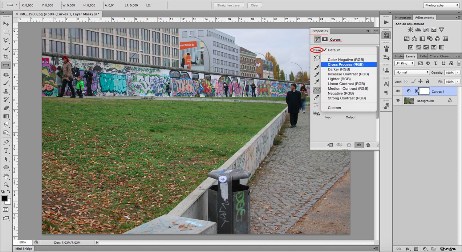 Master Cross-Processing Effects in Photoshop: Easy Step-by-Step Guide