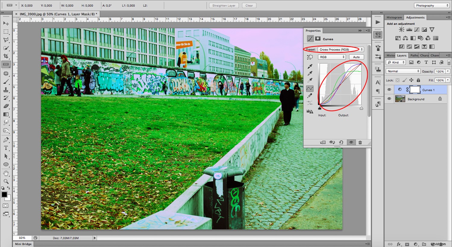 Master Cross-Processing Effects in Photoshop: Easy Step-by-Step Guide