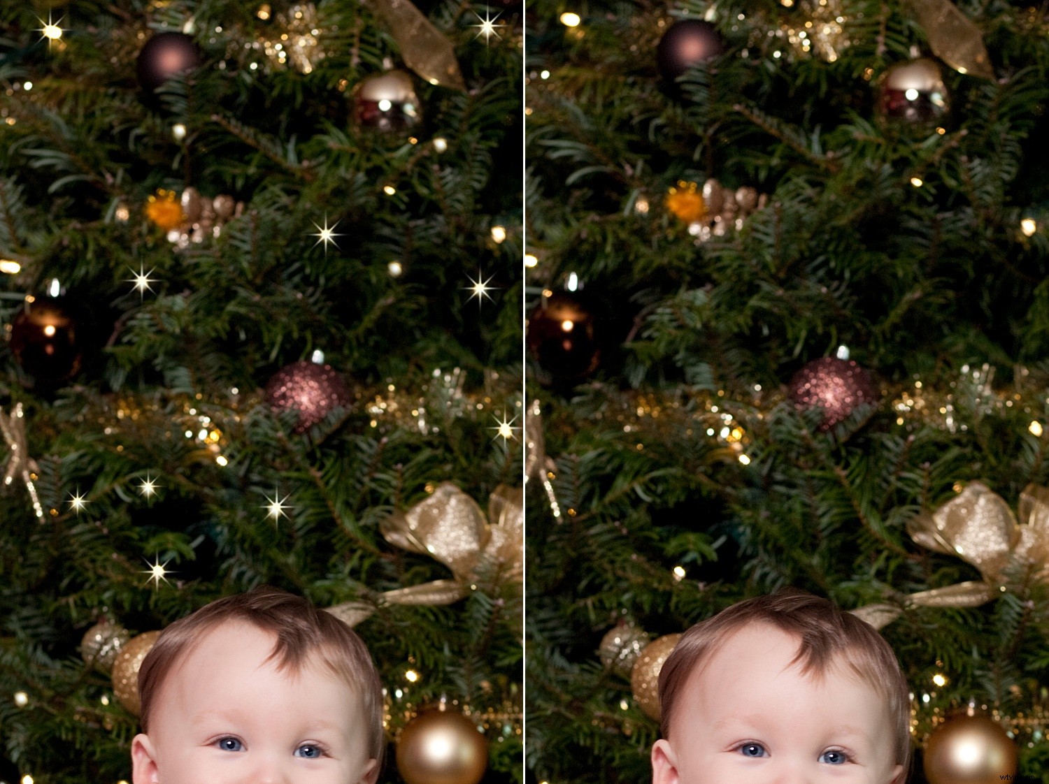 Create Stunning Twinkle Lights for Christmas Tree Portraits in Photoshop