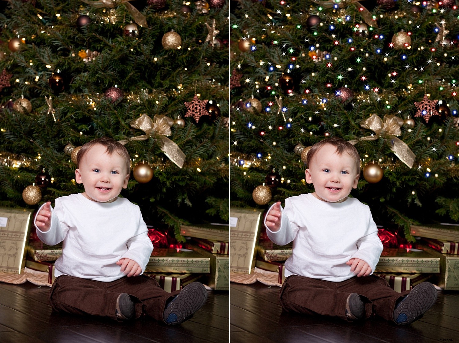 Create Stunning Twinkle Lights for Christmas Tree Portraits in Photoshop