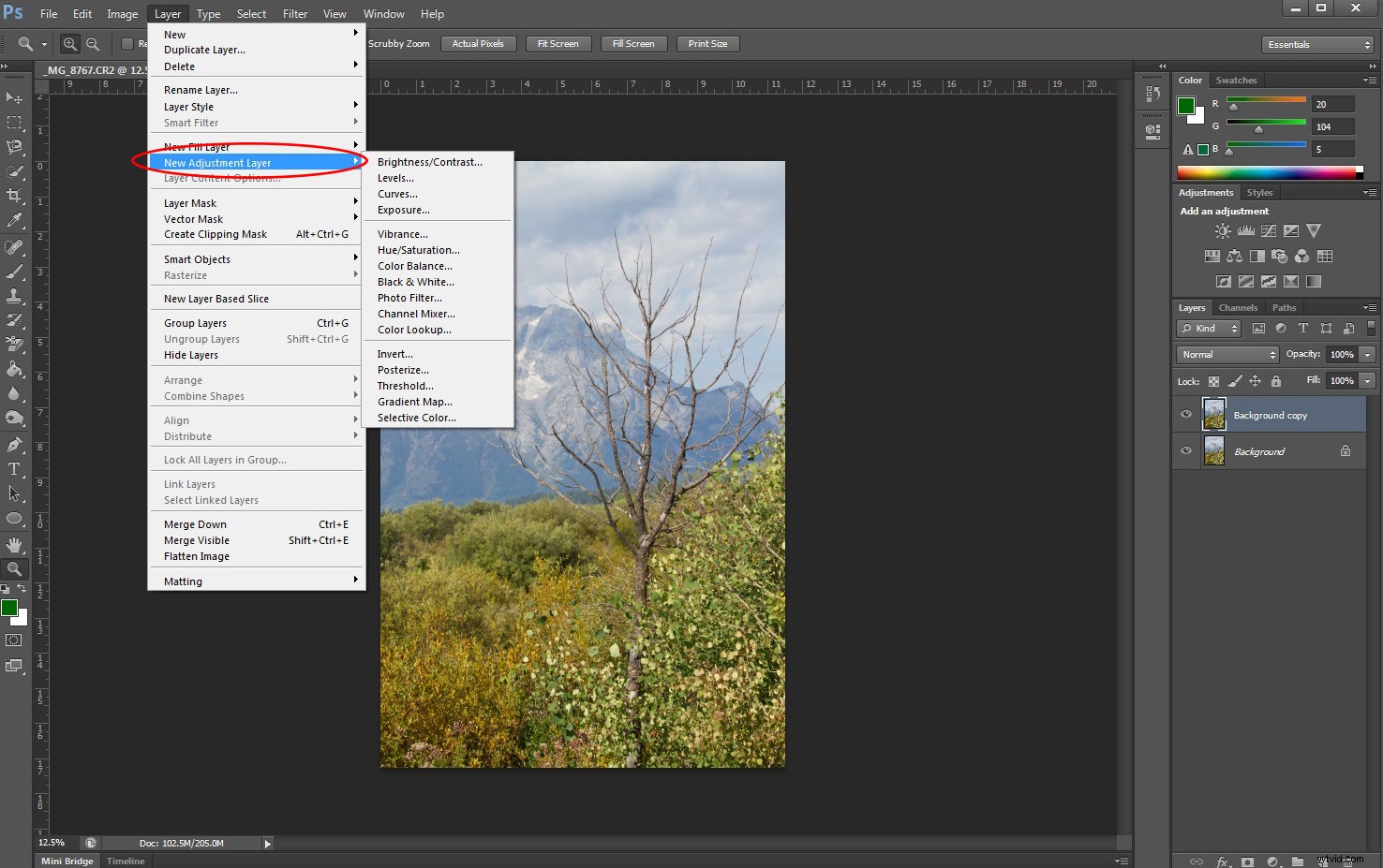 Master Photoshop Adjustment Layers: Complete Guide & Tutorial (Part 1)