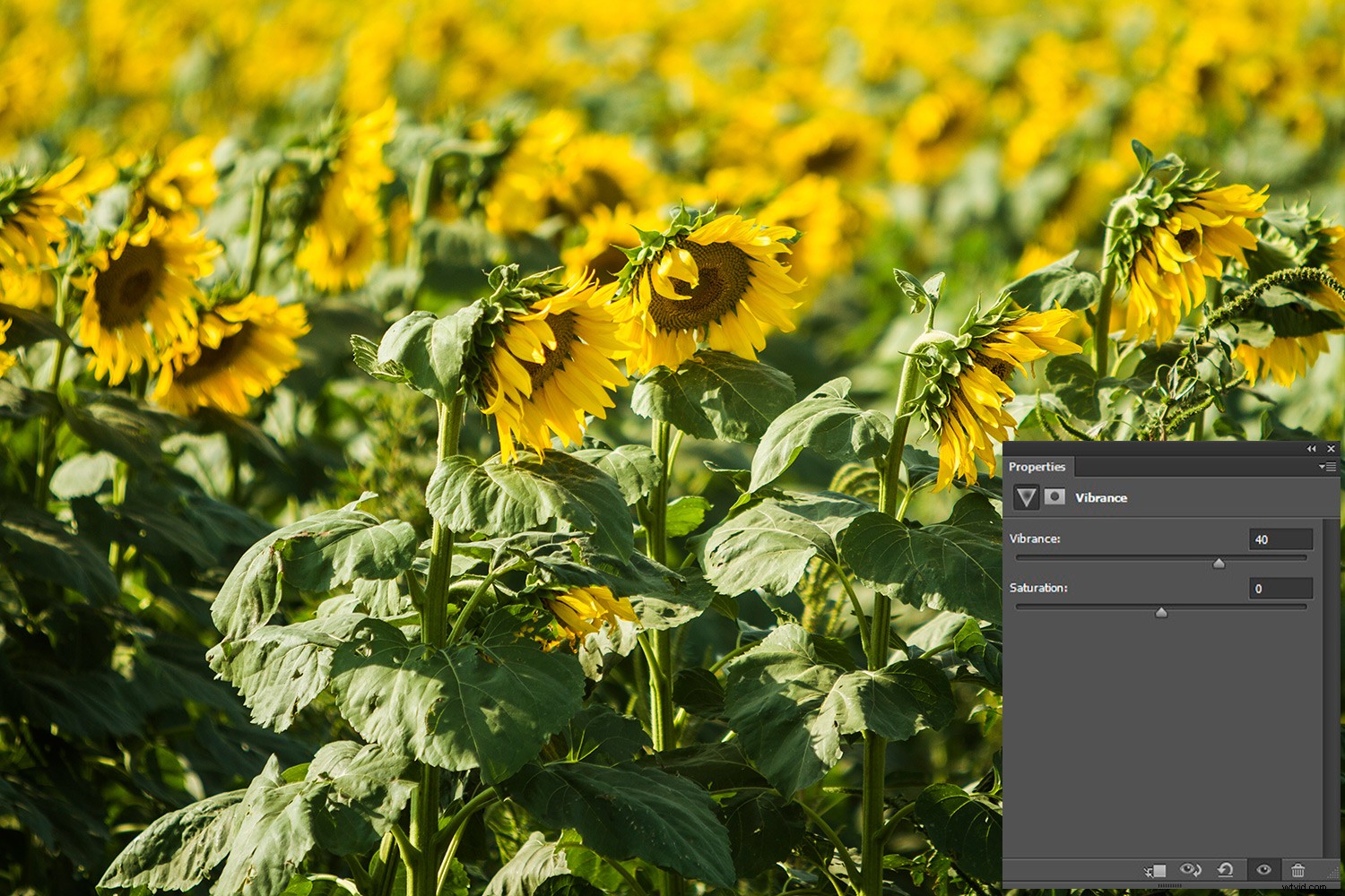 Master Photoshop Adjustment Layers: Complete Guide & Tutorial (Part 1)