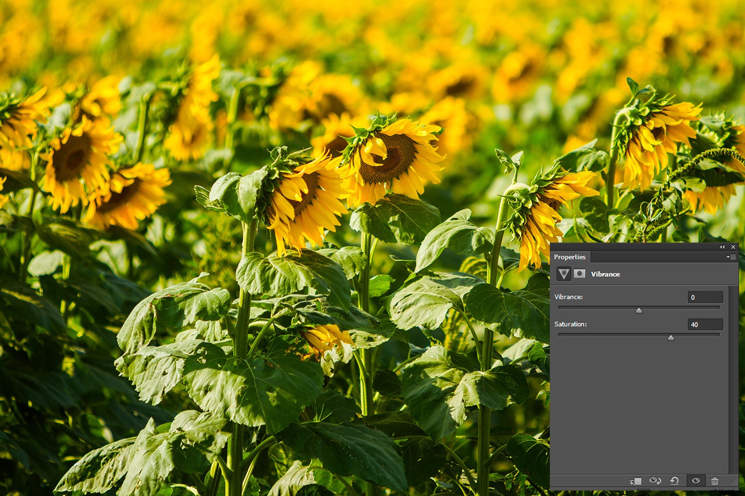 Master Photoshop Adjustment Layers: Complete Guide & Tutorial (Part 1)