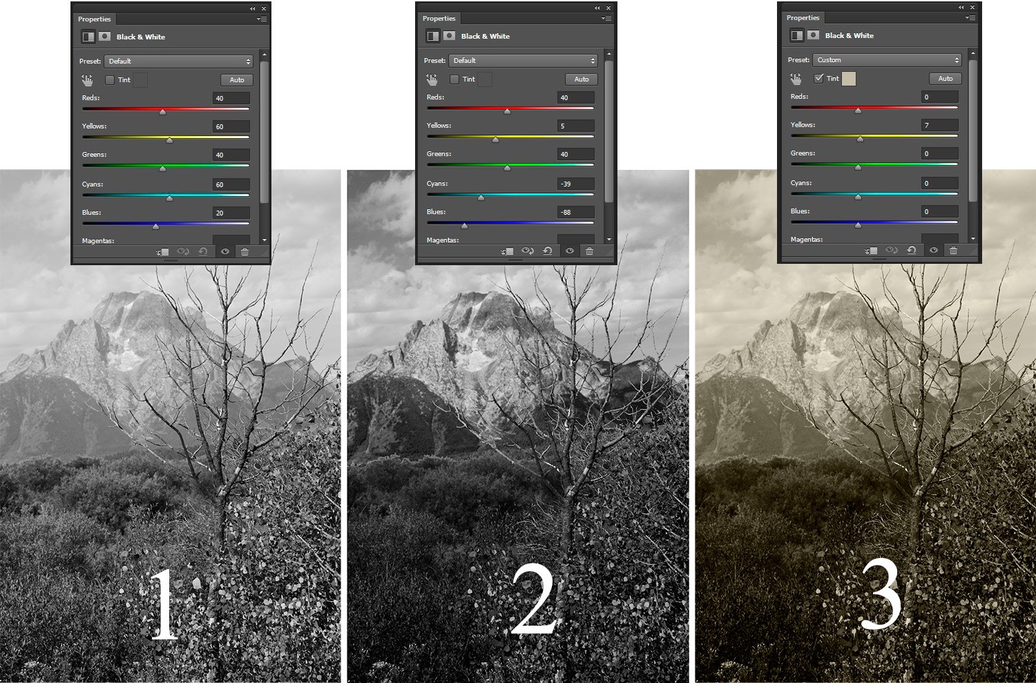 Master Photoshop Adjustment Layers: Complete Guide & Tutorial (Part 1)