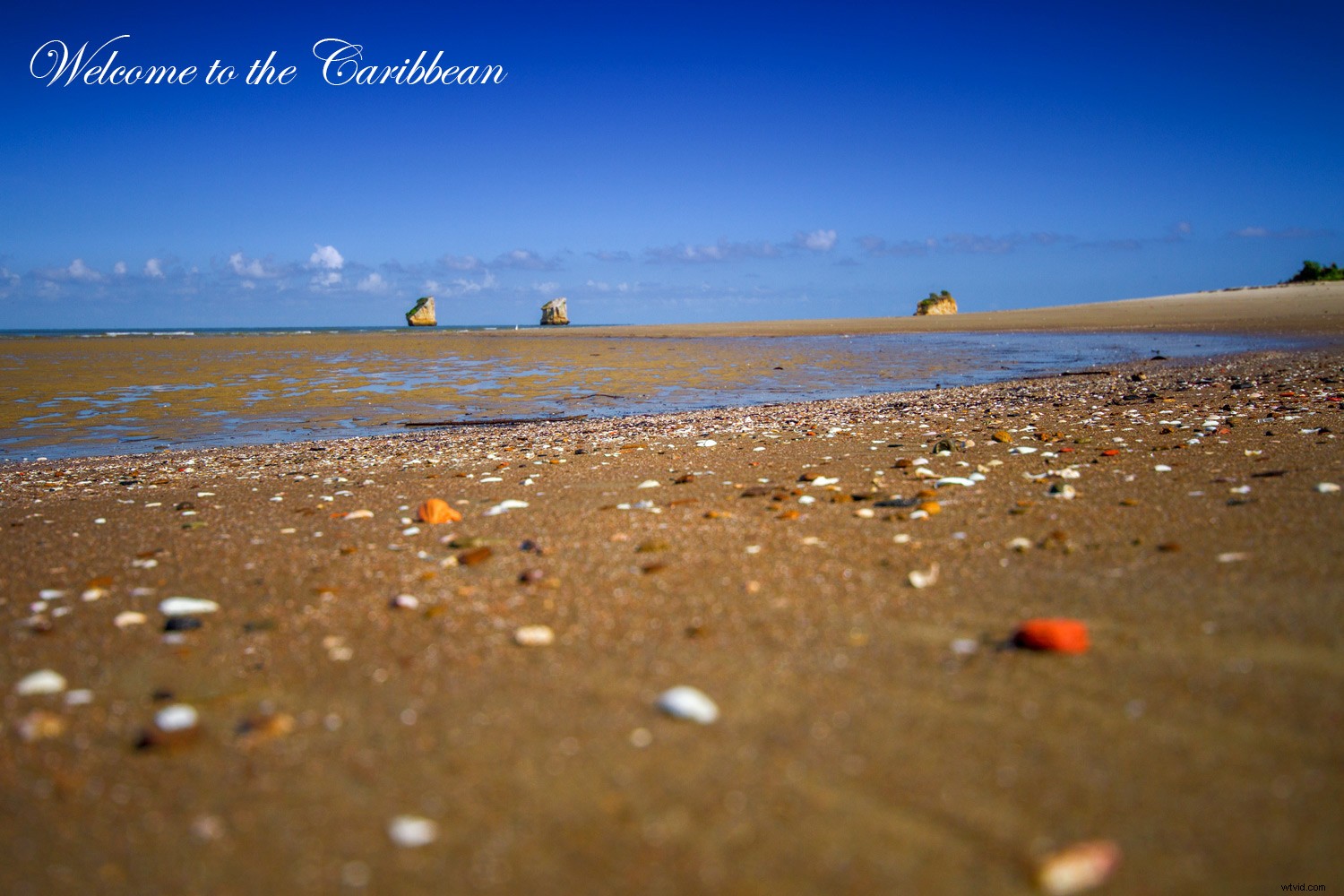 Master Photoshop Layers: Beginner s Guide to What, When & How to Use Them