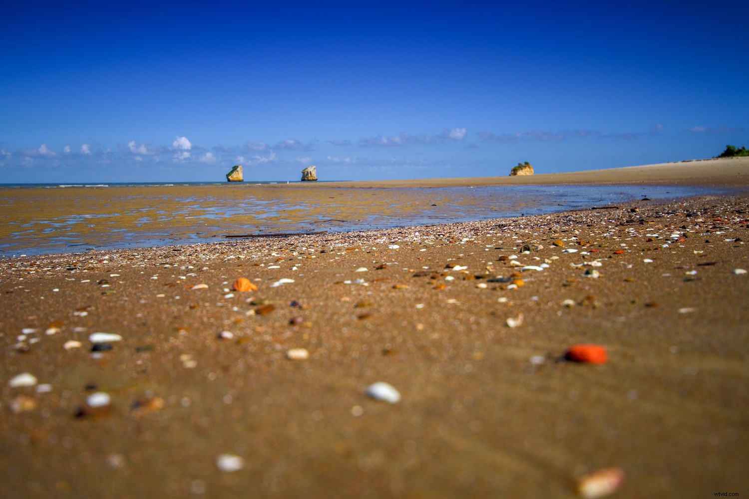 Master Photoshop Layers: Beginner s Guide to What, When & How to Use Them