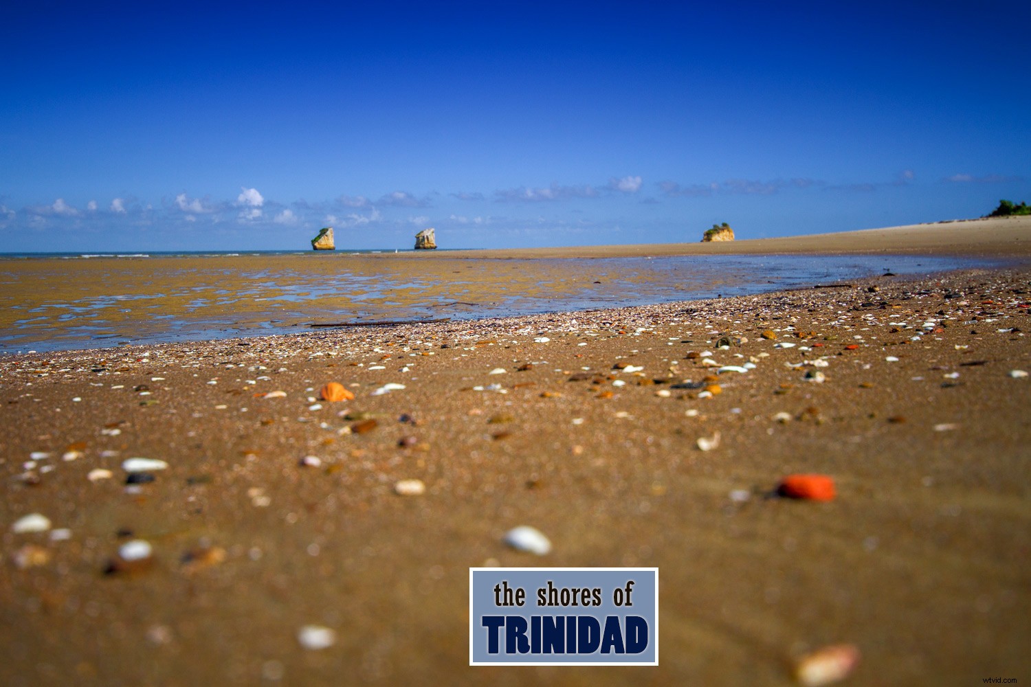 Master Photoshop Layers: Beginner s Guide to What, When & How to Use Them