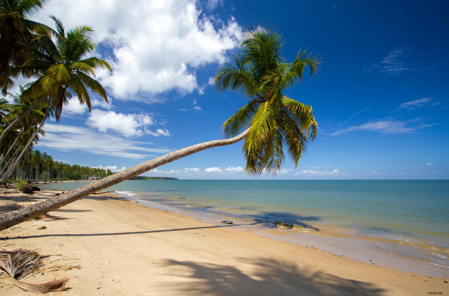 Master Photoshop Layers: Beginner s Guide to What, When & How to Use Them