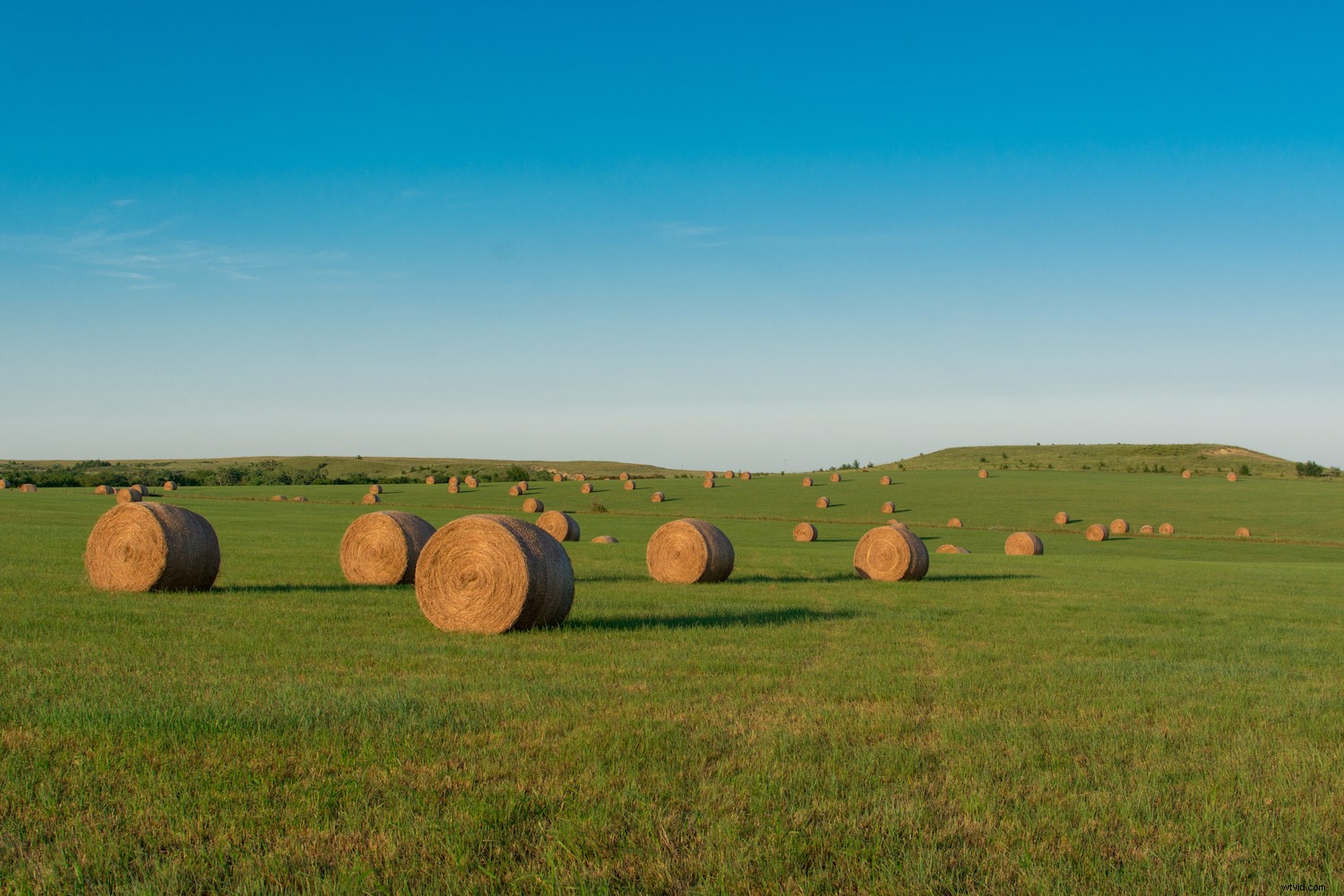 Master Sky Replacement in Photoshop: Ultimate Step-by-Step Guide