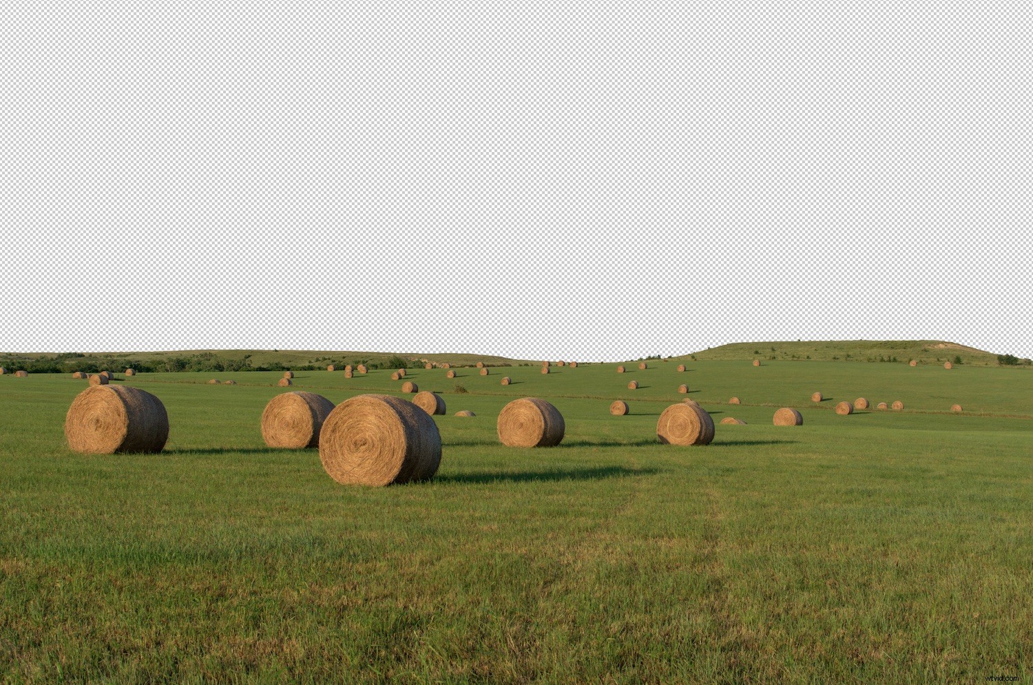 Master Sky Replacement in Photoshop: Ultimate Step-by-Step Guide