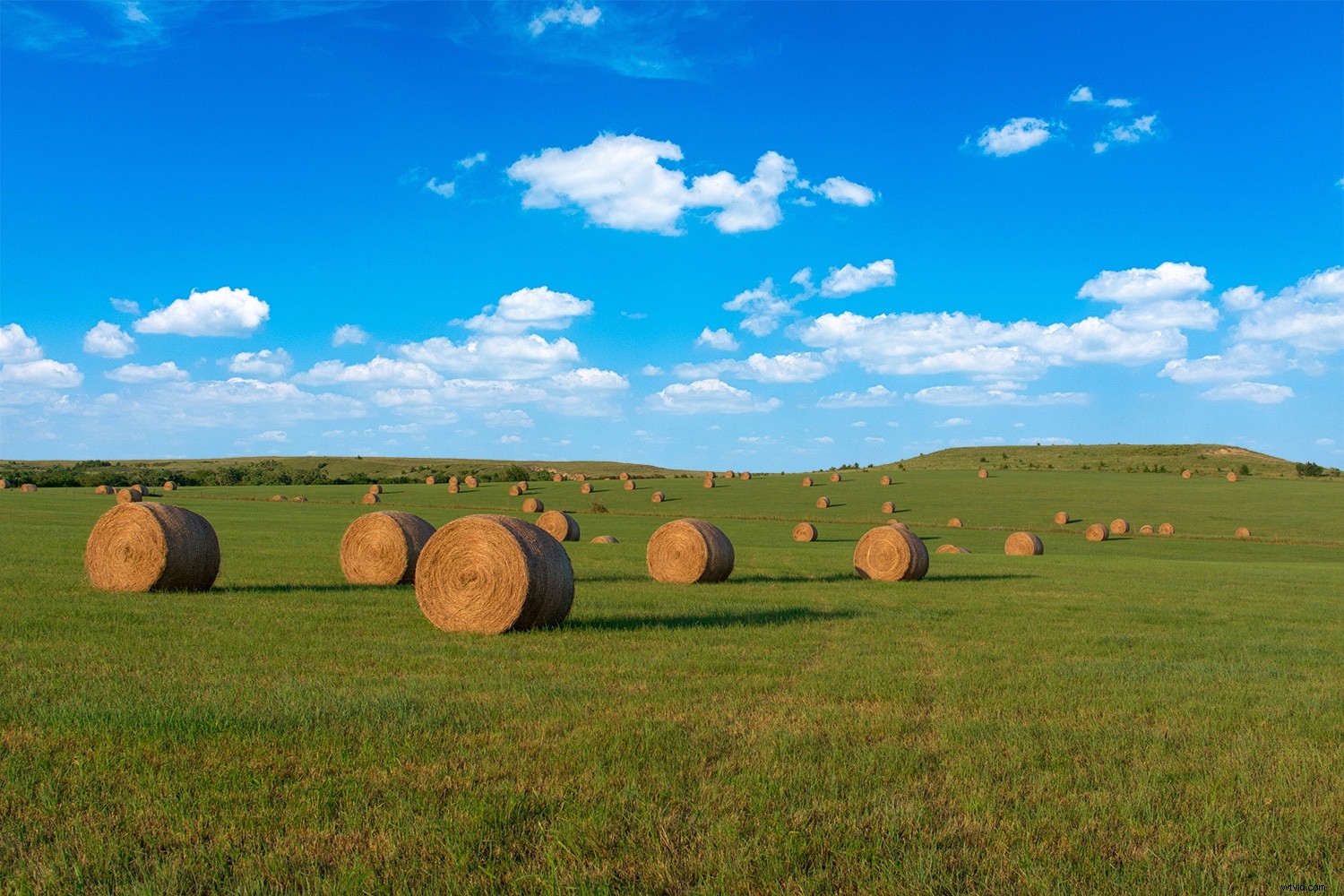 Master Sky Replacement in Photoshop: Ultimate Step-by-Step Guide