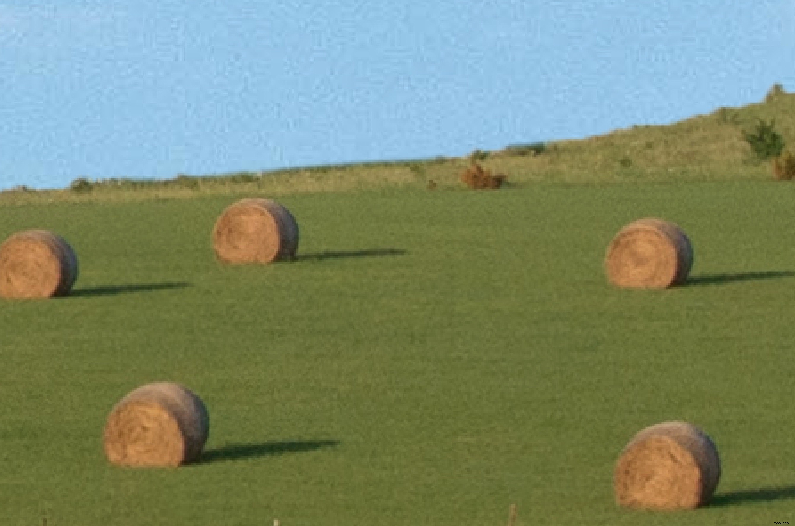 Master Sky Replacement in Photoshop: Ultimate Step-by-Step Guide