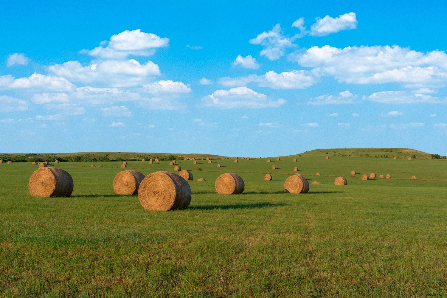 Master Sky Replacement in Photoshop: Ultimate Step-by-Step Guide