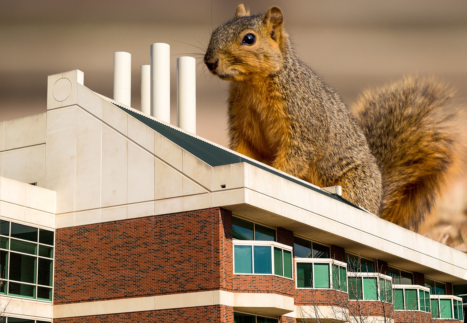 Master Sky Replacement in Photoshop: Ultimate Step-by-Step Guide