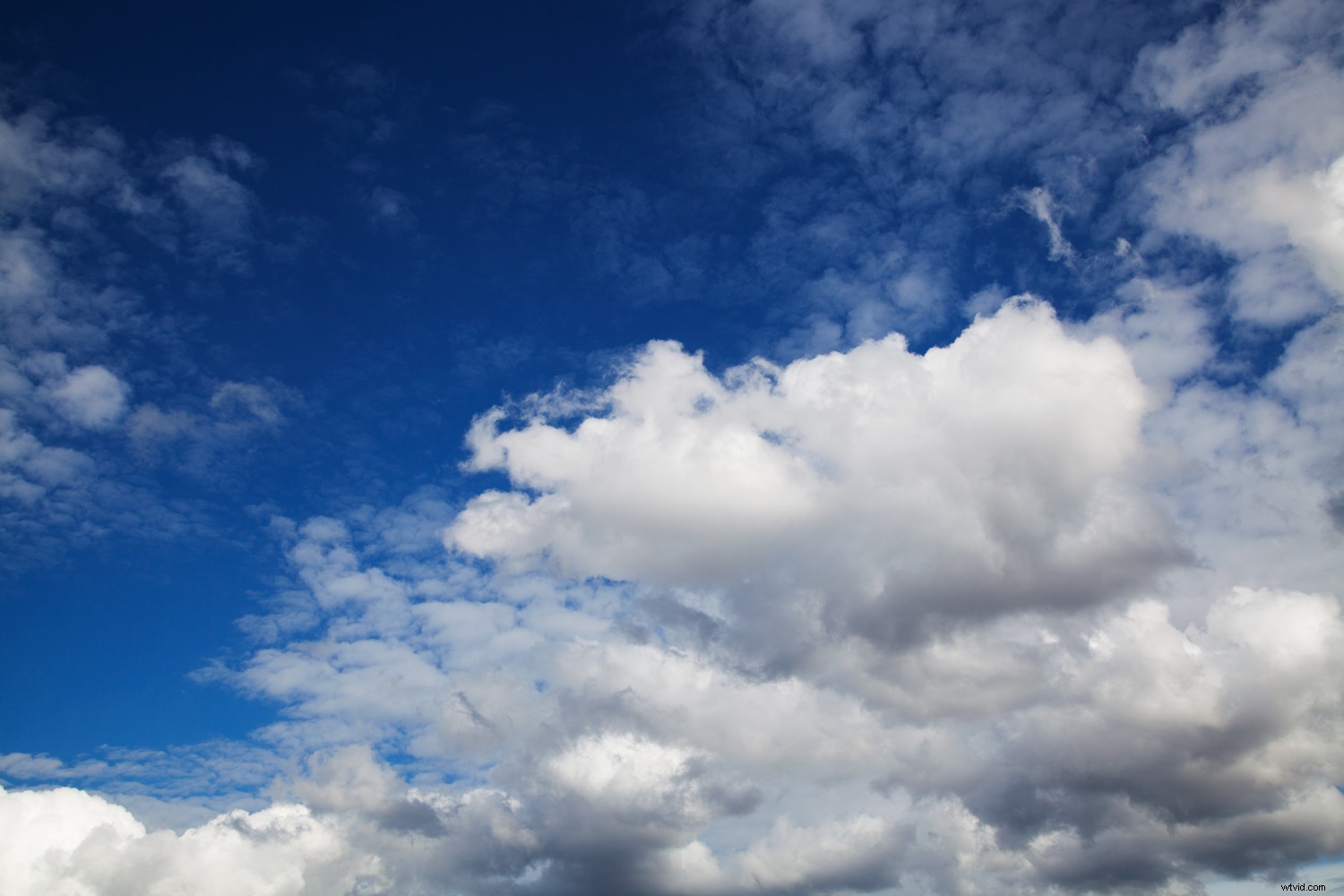 Create a Stunning David Hockney-Inspired Photomontage in Photoshop: Step-by-Step Guide