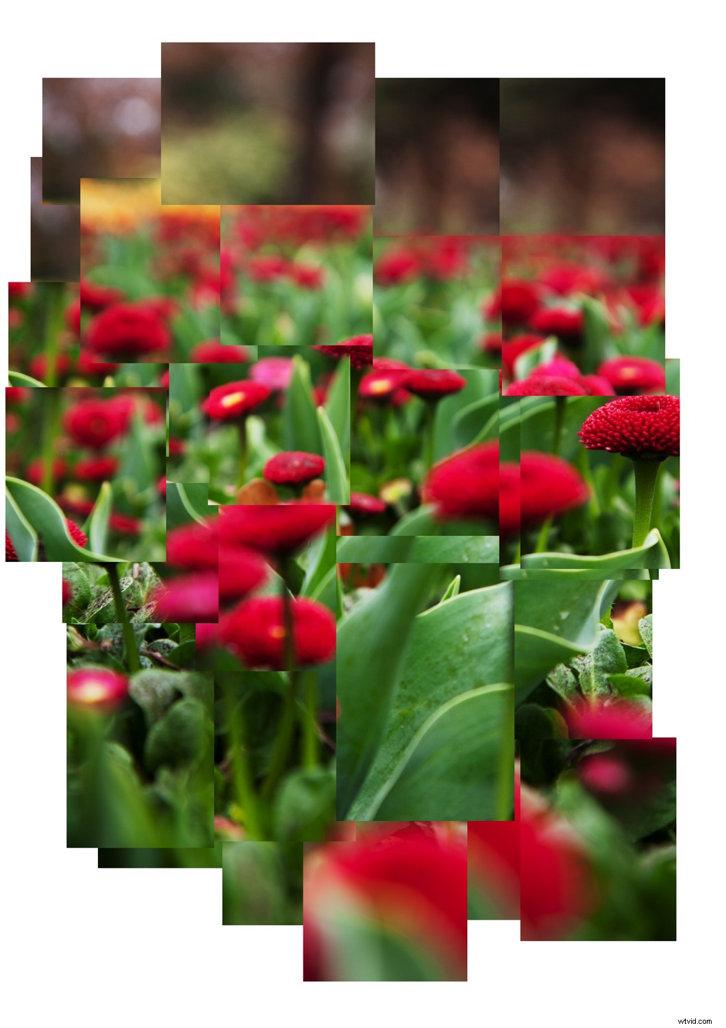 Create a Stunning David Hockney-Inspired Photomontage in Photoshop: Step-by-Step Guide