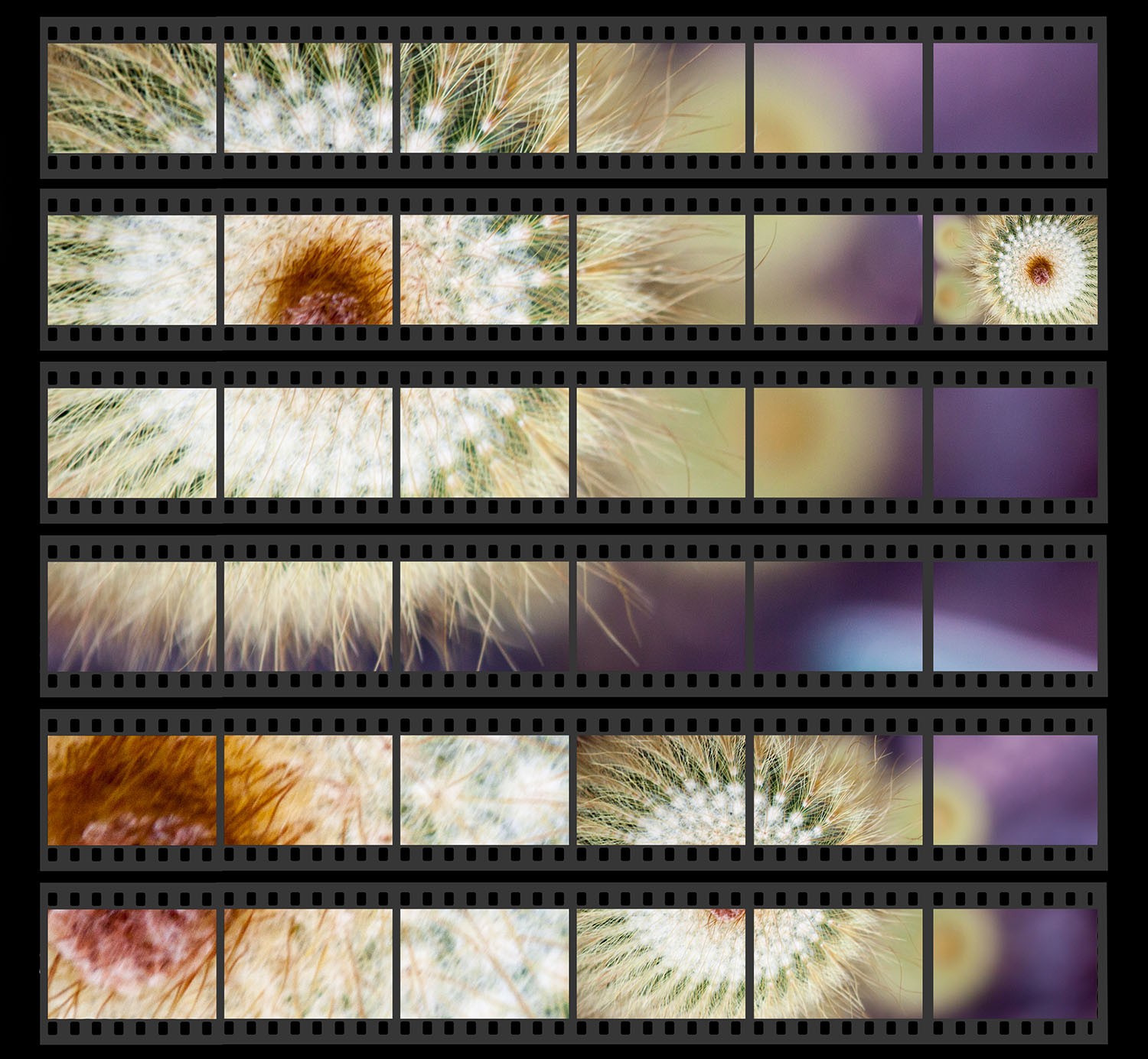 Create Stunning Photo Montages with Photoshop Contact Sheet Templates