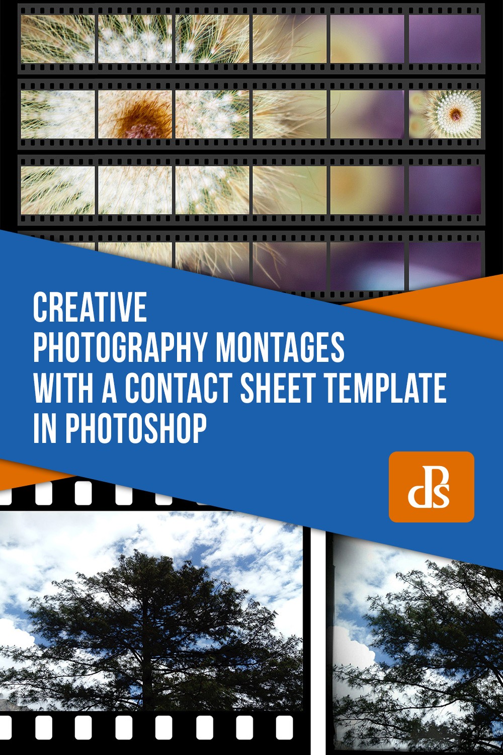 Create Stunning Photo Montages with Photoshop Contact Sheet Templates