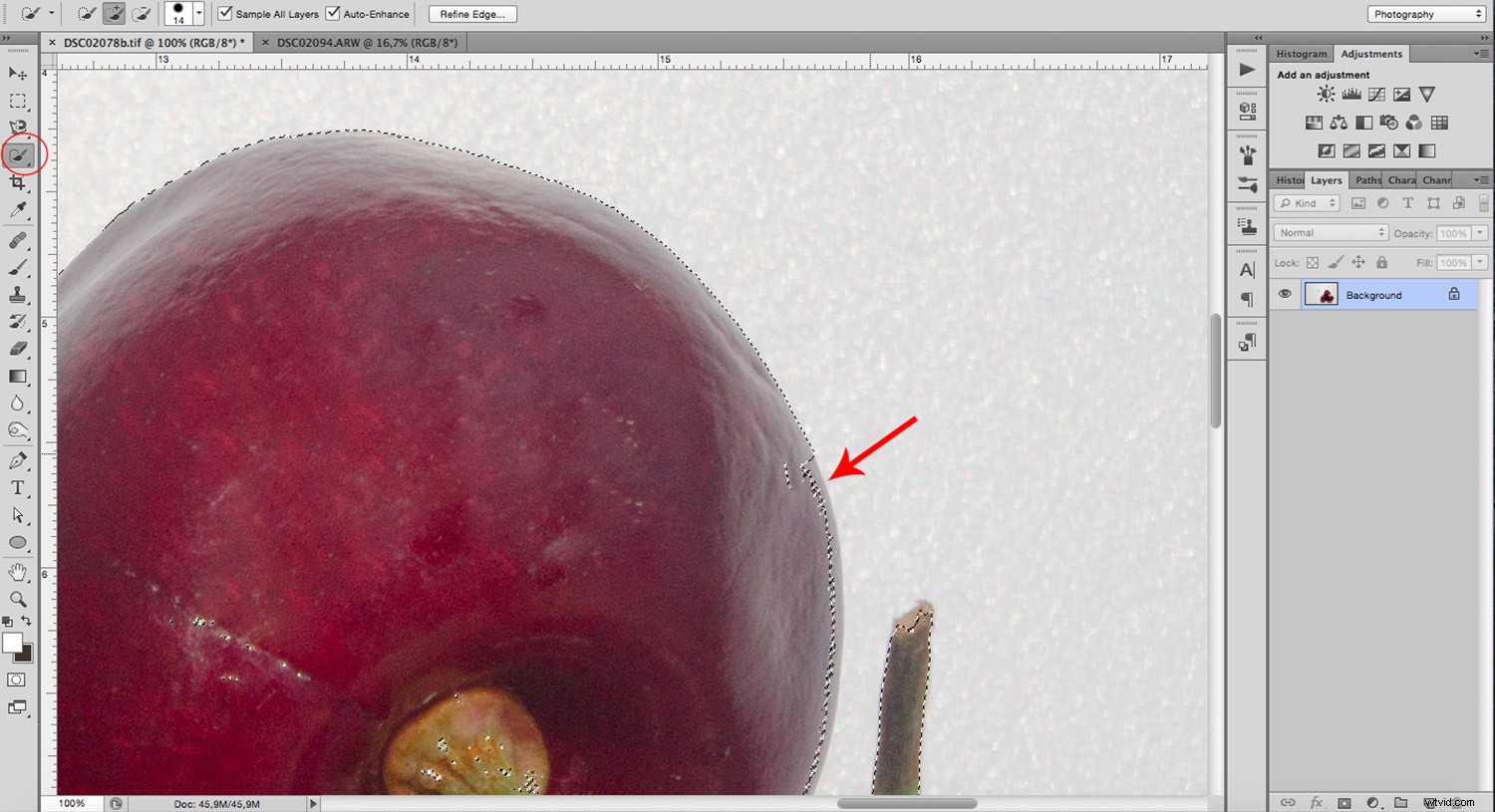 Photoshop Tutorial: Seamlessly Replace Backgrounds for Food & Still Life Photography