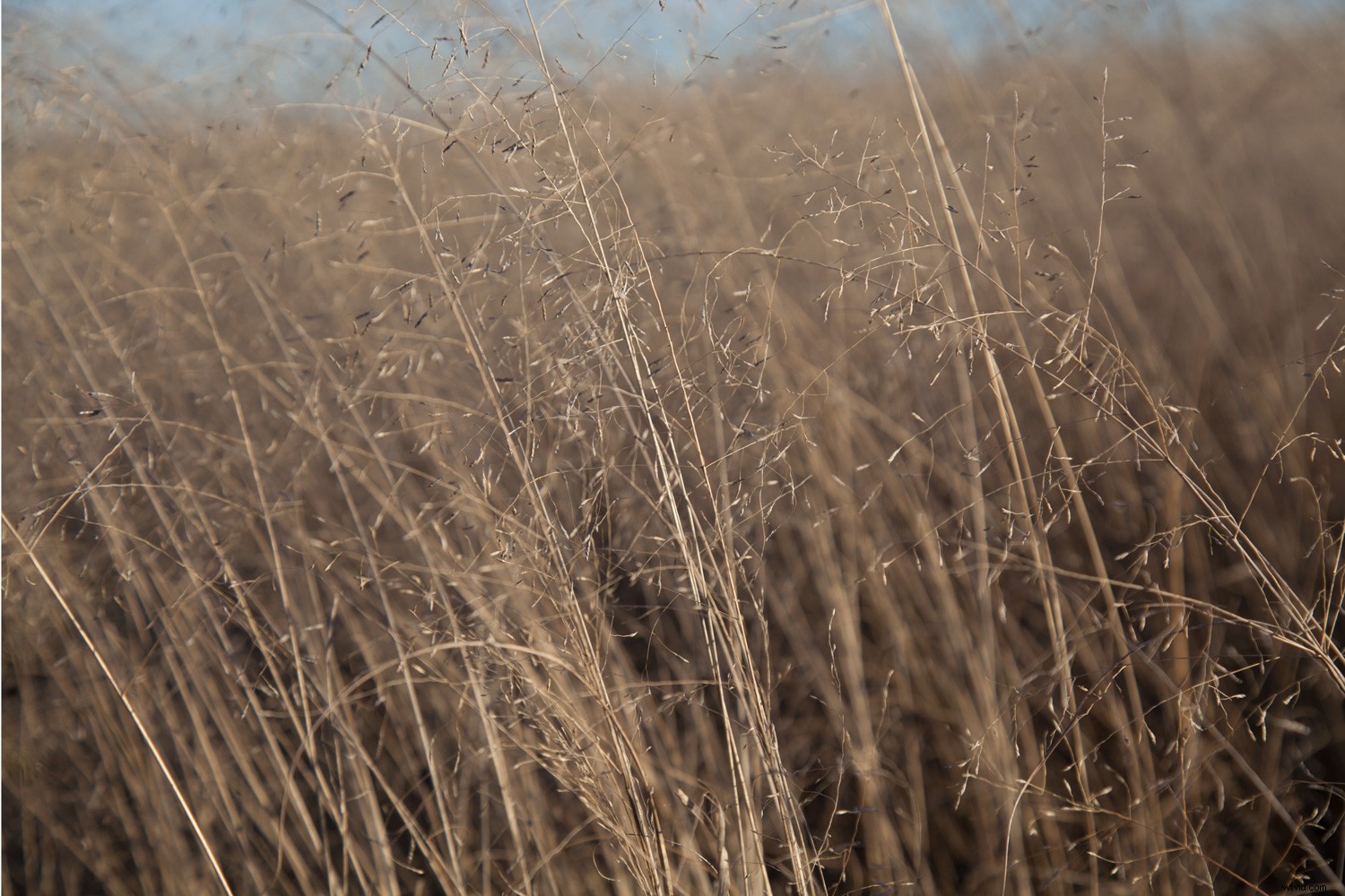 Recreate 3 Stunning Instagram Filters in Photoshop: Step-by-Step Guide