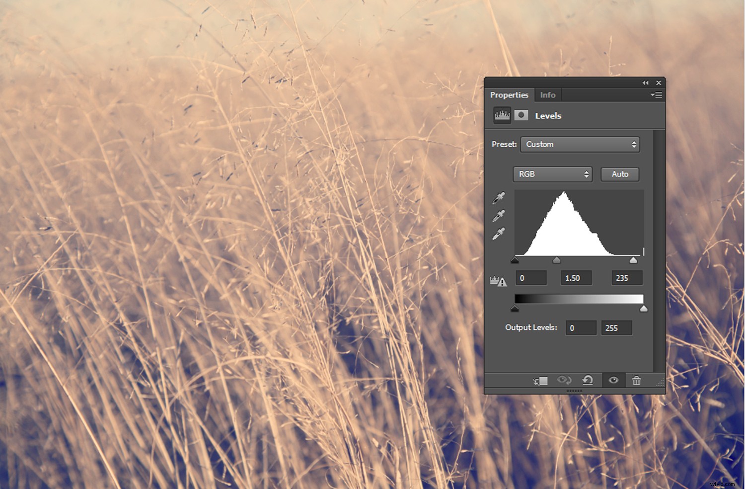 Recreate 3 Stunning Instagram Filters in Photoshop: Step-by-Step Guide