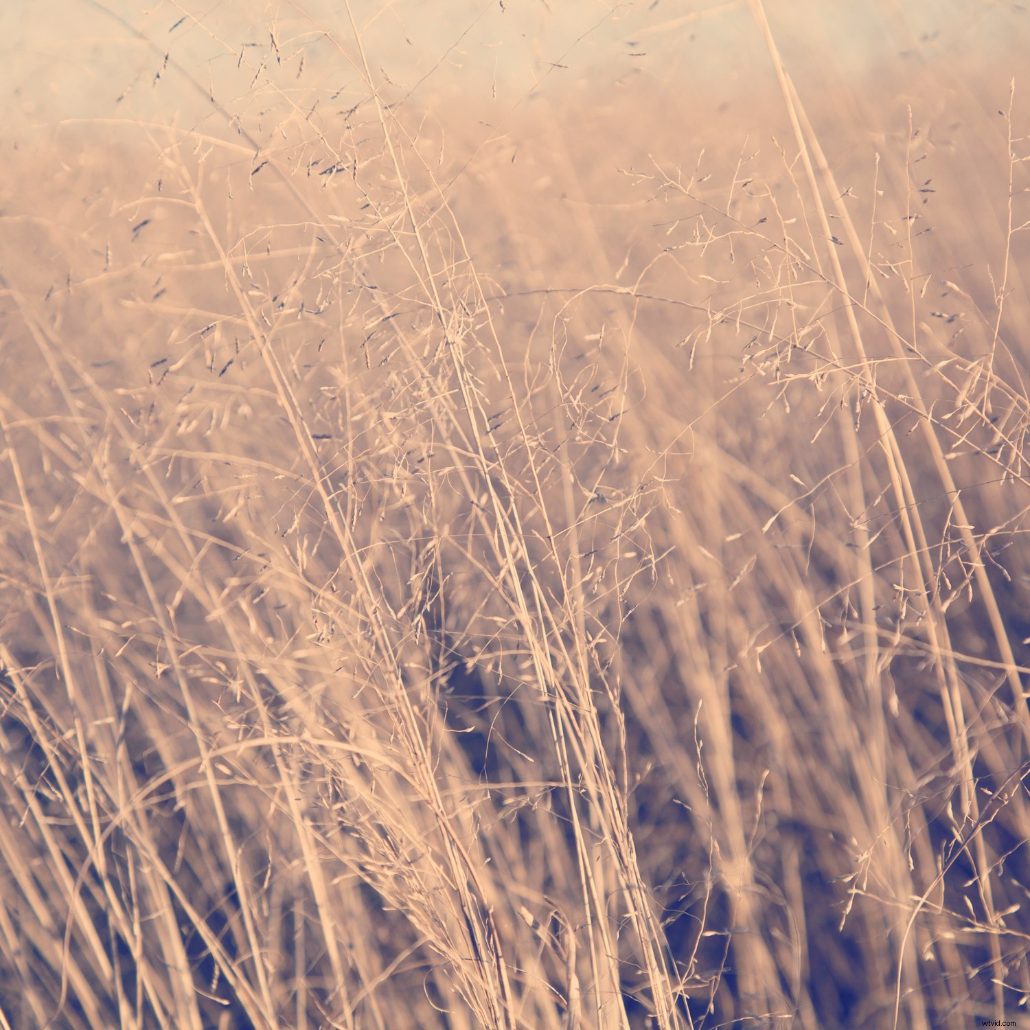 Recreate 3 Stunning Instagram Filters in Photoshop: Step-by-Step Guide