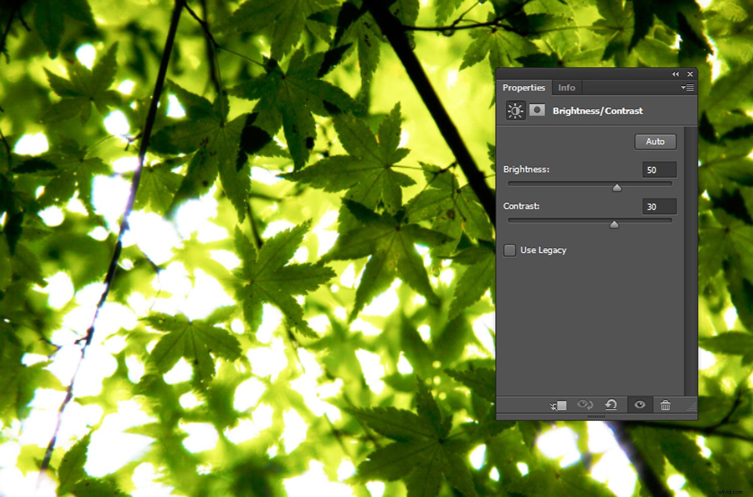 Recreate 3 Stunning Instagram Filters in Photoshop: Step-by-Step Guide