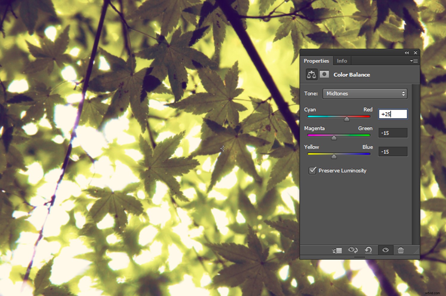 Recreate 3 Stunning Instagram Filters in Photoshop: Step-by-Step Guide